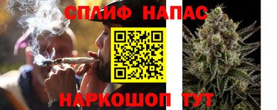 наркотики Будённовск