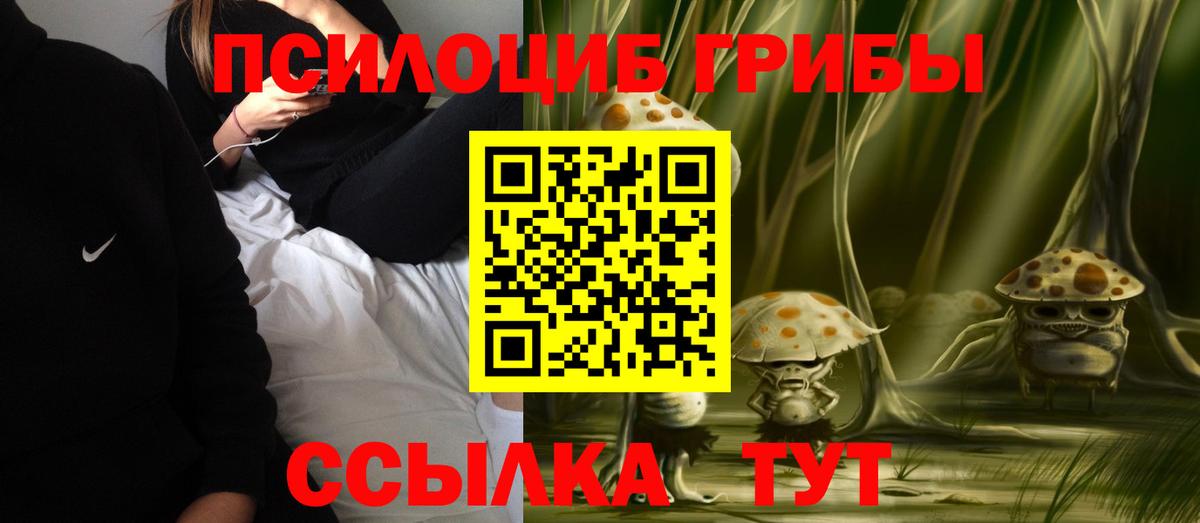 Псилоцибиновые грибы Psilocybine cubensis  Вход с VPN  Салават 